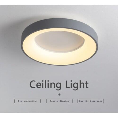 Bedroom Study Smart Remote Control Ceiling Light LED Round Shape Iron Gray 19inch Easy Installation Three-Color Function Lightin