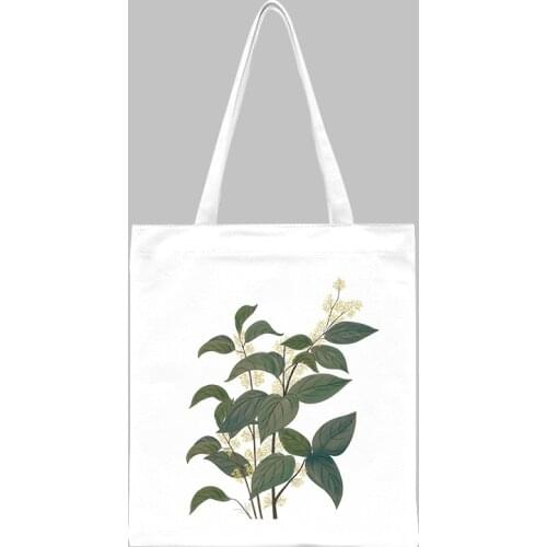 Women Canvas Bags Shopper Aesthetic Printing Female Handbag Tote Designed Kawaii Printed Reusable Shoulder Bag