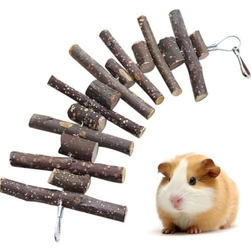 100% Natural Rabbit Chew Toy Small Pet Teeth Improve Bunny Health Apple Twigs Grinding Rabbit Hanging Toy String Accessories