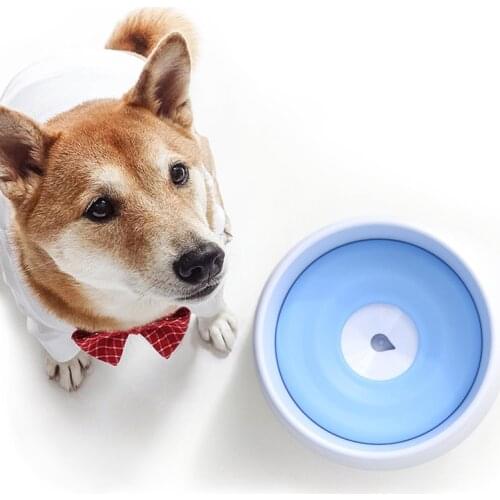 New Drinking Waterer Pets Bowl Non-wet Mouth For Cats And Dogs Splash-proof Water Large Capacity Buoyancy Kitten Bowl