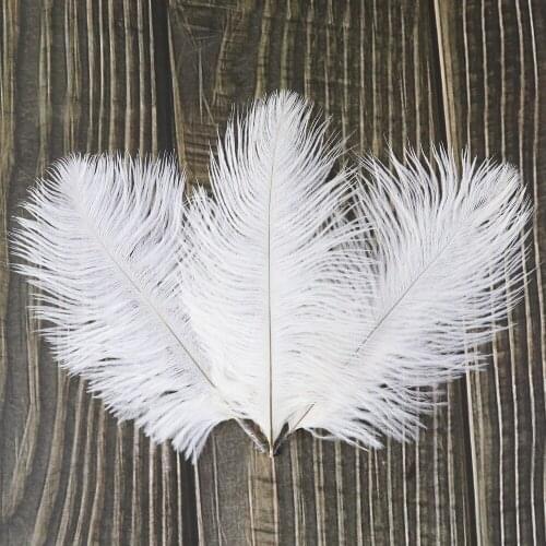 10pcs White Ostrich feather for Crafts 10-15cm Wedding Party home Decoration Natural feathers Ostrich Plumes plumas decorativas