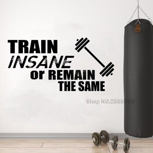 Train Insane or Remain the Same - Motivational Wall sticker - Contemporary Home Decor Vinyl Decal - Gym Fitness Posters LC1384
