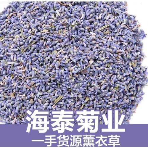 Raw Material of Xinjiang Lavender Dried Flowers Tea Health Care Wedding Party Supplies