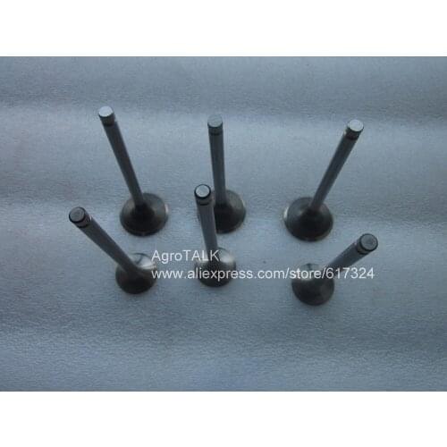 Set of valves for Changchai 4LD40B engine, part number: N85-02007 N85-02008