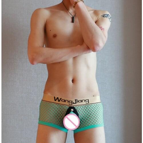 New WJ Mesh shorts Transparent Men underwear boxers Panties Sexy Sheer Men Boxers shorts Gay underwear back open penis pouch