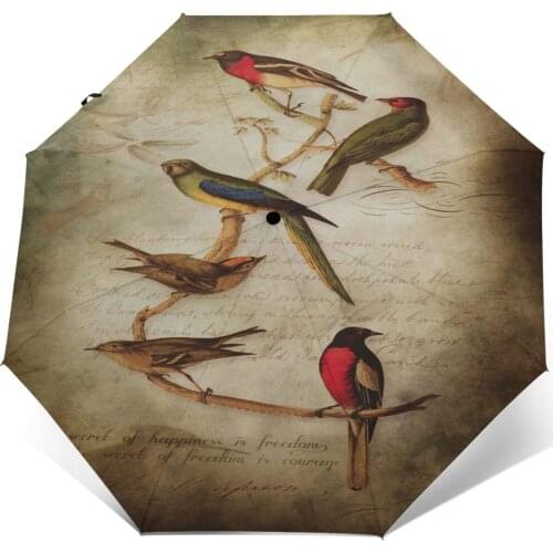 Sunny Umbrella Art Ibises Bird Arrangement Water Automatic folding portable men umbrella Sunscreen rain Windproof beach parasol