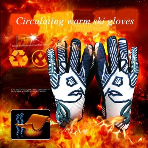 Snowboarding Ski Gloves Outdoor Sport Hiking Riding Non-Slip Sportsman Gloves Windproof Waterproof Skiing Equip Online Store