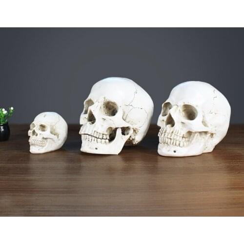 Nordic Resin Simulation Skull Skeleton Model Adornments Home Livingroom Desktop Furnishing Crafts Store Club Sculpture Ornaments