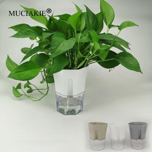 MUCIAKIE 2PCS Home Gardening Potted Indoor Control Root Octangle Basin Succulent Plant