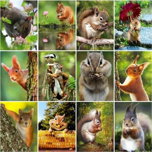 5D DIY Diamond Painting Squirrel Animals Diamond Embroidery Decorative Paintings Cross Stitch Kits Handicraft Needlework Art