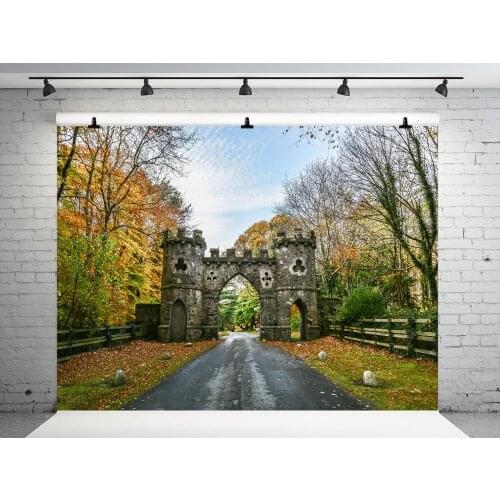 VinylBDS Scenic Backgrounds For Photo Studio Caslte Fondos De Estudio Fotografia Forest Backgrounds For Photo Studio Cotton