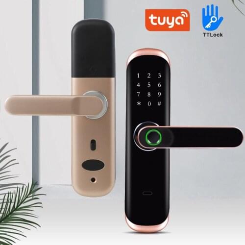 Hotel Fingerprint Door Lock WiFi Bluetooth TTLock APP Remote Control Electronic Unlock Digital IC Card Smart Lock Dual Latch