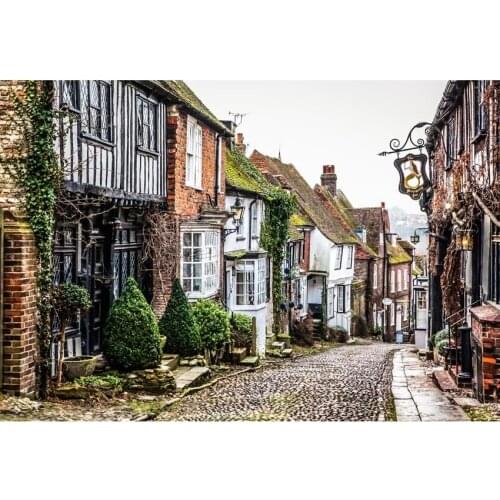 Town Street View Photography Background Vintage Stone Brick House With Stone Road Backdrop For Youtube Videos Photo Booth Props