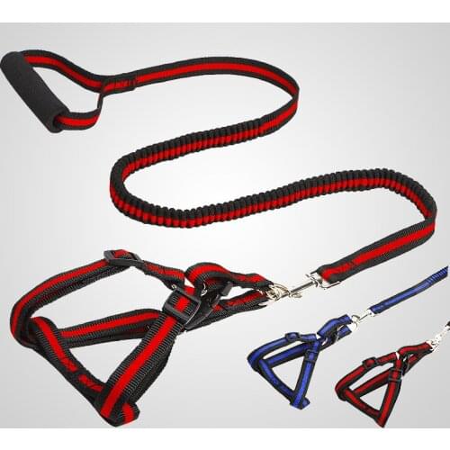 Nylon Leather Collar Dog Collar and Leash Elasticity Bulldog French Leashes for Dogs Flexi Small Dog Harness Leash Set Pet