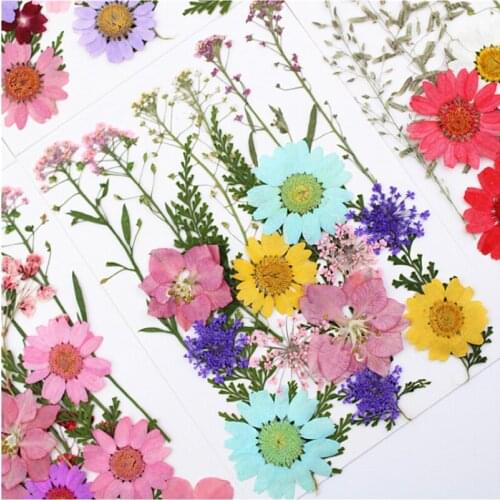 10 Pack Pressed Flower Material Pack Dry Flower Embossing Combination Pack Pressed Flower Leaf DIY Accessories