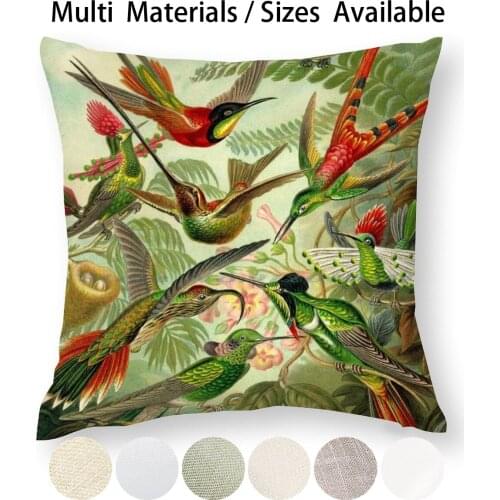Colibri-Ernst Haeckel Pillow Case Throw Pillow Cover Cotton Linen Flax Ernst Haeckel Colibri Birds Tropical Hummingbird Humming