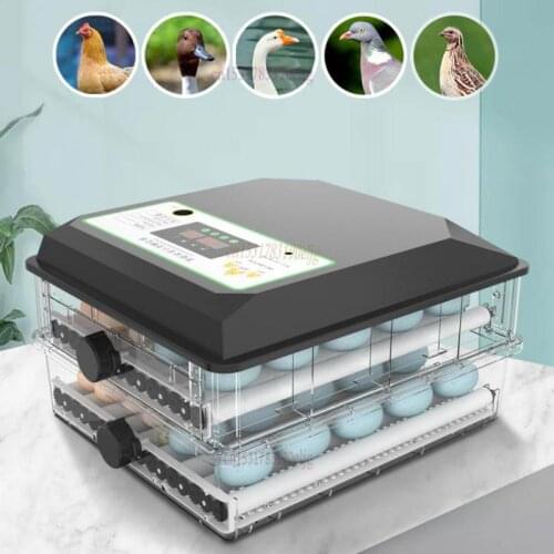 Chick, Goose, Parrot, Egg Incubator, Egg Incubator, Small Household Water Bed Incubator, Full Automatic Intelligence