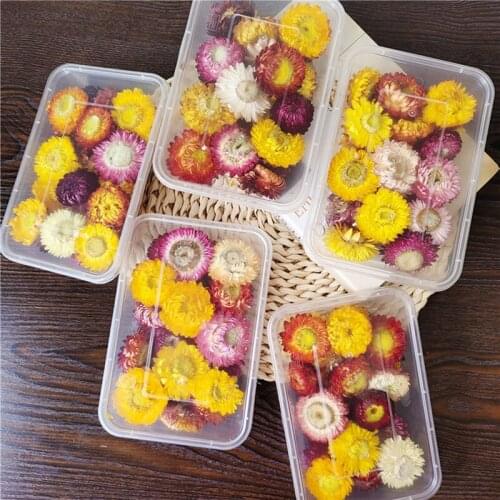 1 Box Real Dried Flower Dry Plants For Aromatherapy Candle Epoxy Resin Pendant Necklace Jewelry Making Craft DIY Accessories