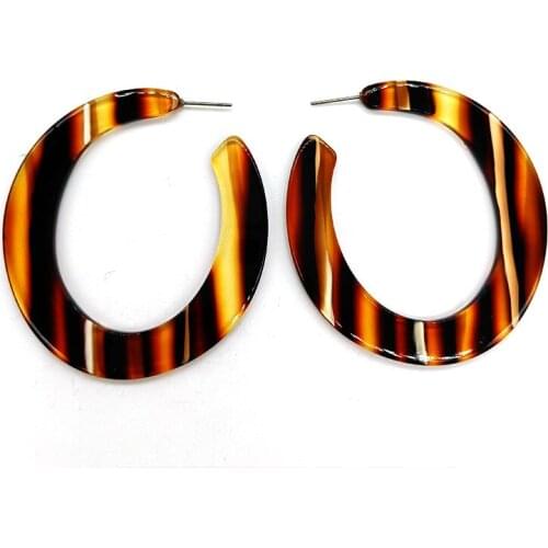 2019 CC Leopard Acrylic earrings big hoop earrings for women Tortoise Shell Stud earring Bohemian Acetate earrings
