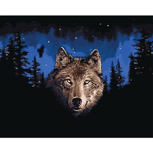 40*50 Ghost Wolf animal Painting Coloring By Numbers Home Canvas art cuadros decoracion Oil Painting picture poster DY001