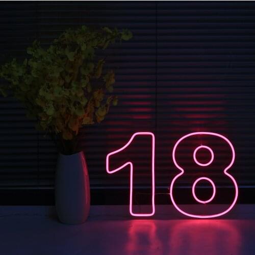 LED Neon Light Sign Number 18 Neon Wall Lights Night Lamp for Room Holiday Party Decor Cool Birthday Christmas Gift