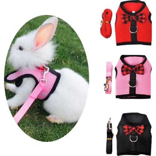 Small Pet Rabbit Leash Harness Traction Rope Squirrel Hamster Guinea Pig Vest Chest Strap Fashion Bow for Puppy Pets Accessories