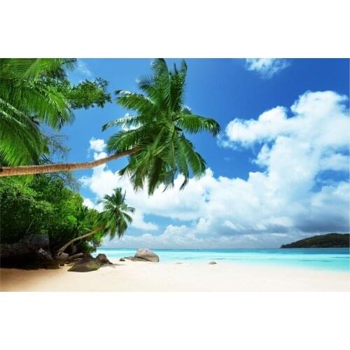 Caribbean Beach Sea Palms Holiday Photo Art Film Print Silk Poster for Your Home Wall Decor 24x36inch