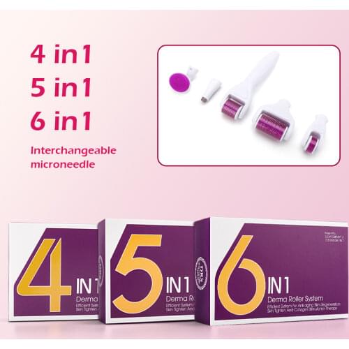 Derma Roller Micro Needle Roller Kit 4/5/6 In 1 Microneedling Roller for Eye Face Body Skin Beauty Derma Roller for Hair Growth
