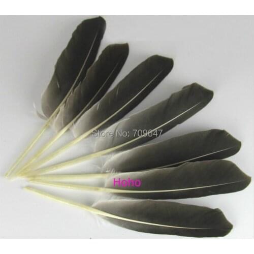 Plumas decorativas! 50Pcs/Lot 20-25cm long Natural Goose Quill Feathers,Goose Pointer Quills for Pen Angel Wings
