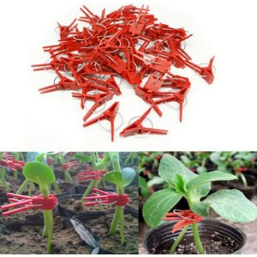 Vine Clamp Eggplant Tomato Plastic Grafting Clips Garden Vegetable 50pcs
