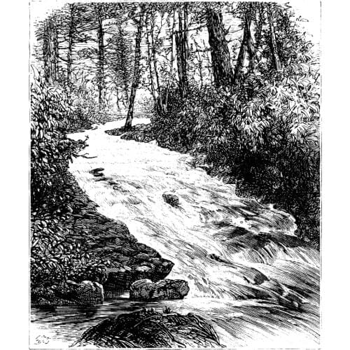 AZSG Rivulet / Tree Clear Stamps For DIY Scrapbooking Decorative Card Making Crafts Fun Decoration Supplies 10*15cm