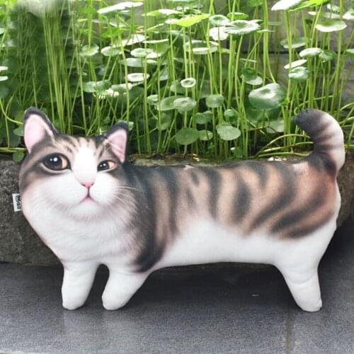 CASEGRACE Decorative Pillows