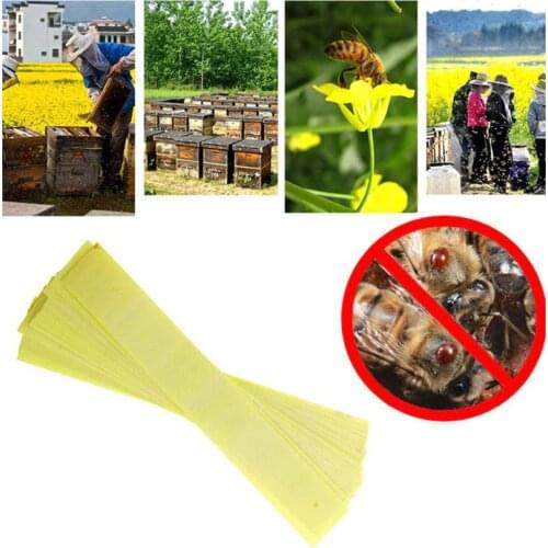 20pcs/pack Bee Mite Medicine Strip Bee Mite Acaricide Strip Beekeeping Bee Varroa Mite Medicine Killer Control Beekeeping Tools