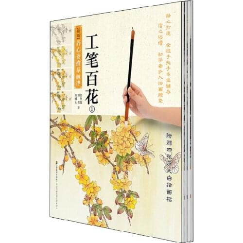 Chinese painting textbook:Chinese traditional gongbi painting book for starter learners , Sketches book with color ,4books/se