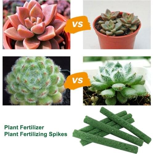 25g Indoor Plant Fertilizer Plant Fertilizing Spikes for Give Continuous Feeding to all Flowering and Foliage Houseplants