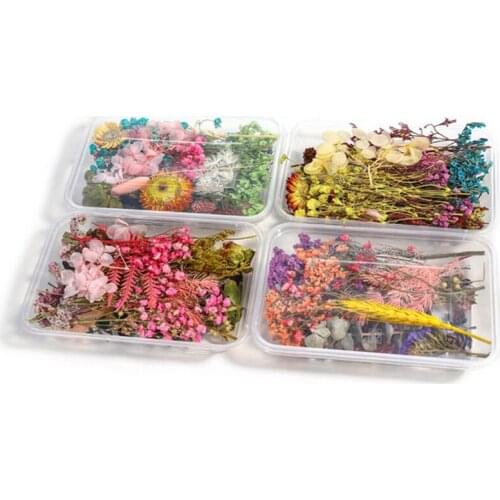 1Box Real Pressed Dried Flowers For Art Craft Resin Pendant Jewellery Making DIY