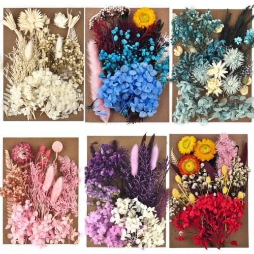 1 Pack Dried Flowers DIY Resin Mold Aromatherapy Candle Real Flower For Resin Fillings Nail Art Home Craft Jewelr Making Tools