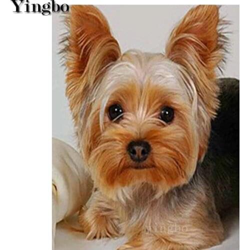 5D Diamond Painting Yorkshire Terrier Pet Dog Picture Cross Stitch Kit Diamond Embroidery Of Rhinestone new Needlework Decor