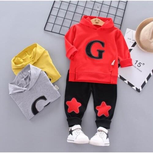 Autumn Sprring Girls Boys Clothing Set Kids Baby Clothes Casual Sports Outfit Hooded Coat Pants Clothing Suit 2pcs/set Tracksuit