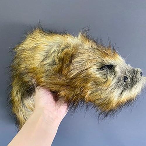 Jumbo Rocky Raccoon Robbie Magic Tricks Spring Animal Toy Appearing Magia Stage Street Illusions Gimmicks Props Comedy Mentalism