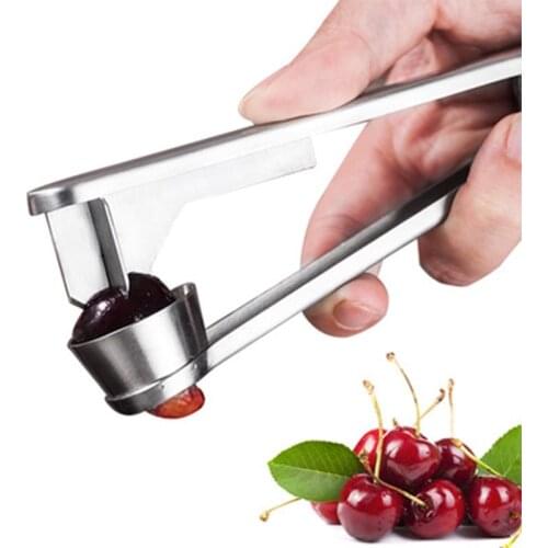 Handheld Cherry Corer Jujube Corer Remover Stainless Steel Red Date Denucleator Fruit Coring Clip Cherries Seed Remover