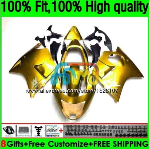 Light gold Blackbird For HONDA CBR1100 XX CBR1100XX 96 97 98 99 00 01 131BS.125 CBR 1100XX 1996 1997 1998 1999 2000 2001 Fairing