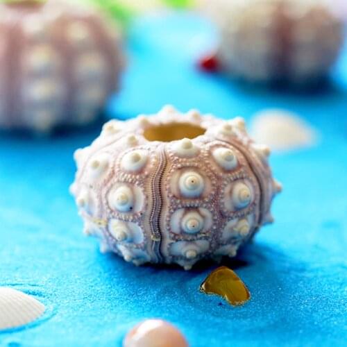 HappyKiss natural 2pcs sea Urchin Star fish Natural Mini Sea Urchins DIY sea shells
