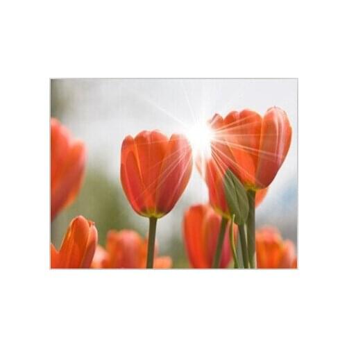 Sunshine Tulips Wall decor art Pictures Diamond mosaic needlework Embroidery with diamonds Painting by numbers rhinestones Y538