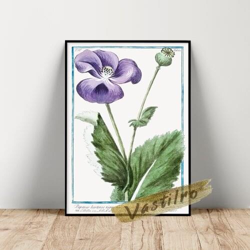 Giorgio Bonelli Papaver Poster, Bonelli Flower Leaf Wall Picture, Vintage Plant Art Prints, Purple Flower Green Leaf Wall Art