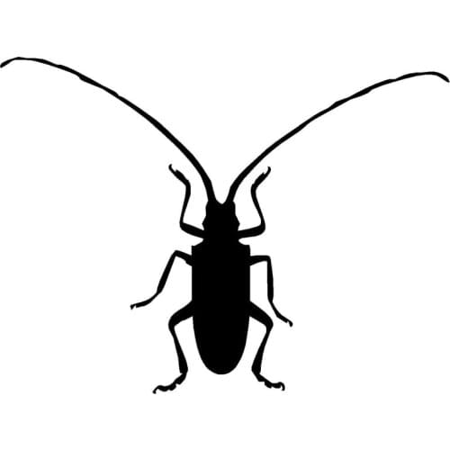 12.7*9.5CM Unique Styling Longhorn Beetle Funny Car Sticker And Decals Accessories Black/Silver C9-1728