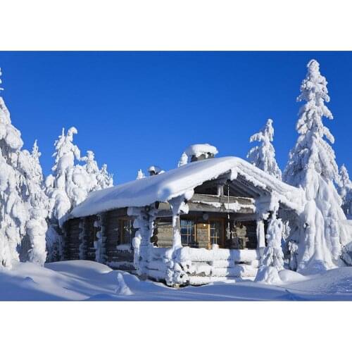 Christmas Winter Cabin Pine Photography Backgrounds for Photo Studio Vinyl Photo Backdrops Children Baby Portrait Photo Shooting