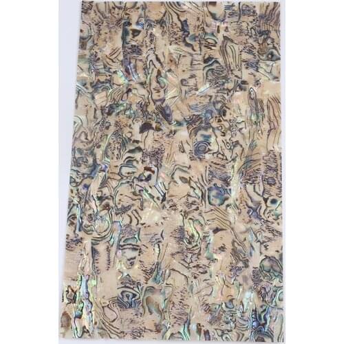 New Arrival Fashion Sea Shell Slice Accessories For Wall Decoration