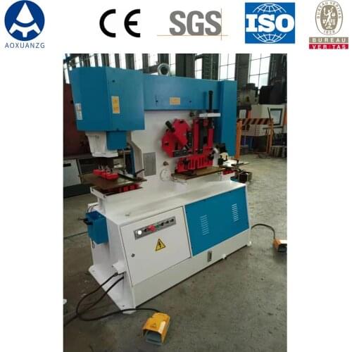 Hydraulic iron worker sheet punch and shearing machine with customized mold