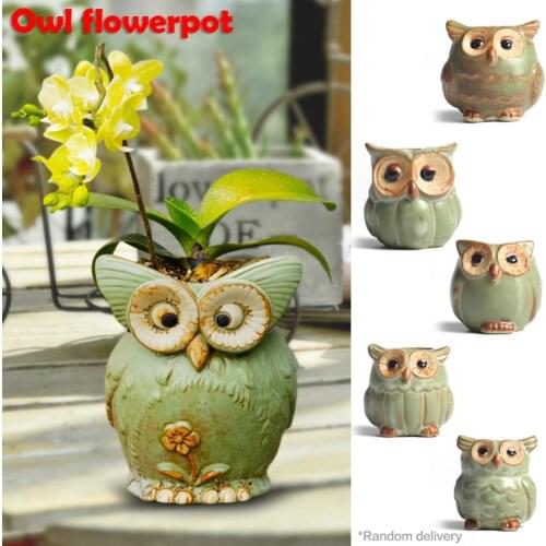 Creative Succulent Flowerpot Cute Cartoon Owl Shaped Ceramic Flower Planter Garden Decor Supplies Home Desktop Decoration